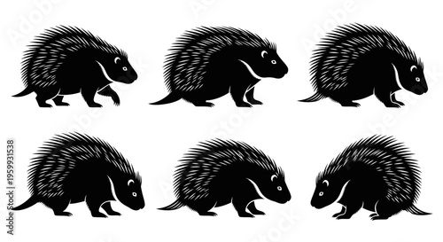 Six Black Porcupine Silhouettes in a Row, Walking and Standing