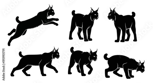 Silhouette Set of Lynx in Various Poses: Jumping, Standing, Walking, Crouching