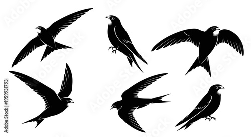 Silhouette Swifts Flying and Perching Set: Dynamic Bird Poses