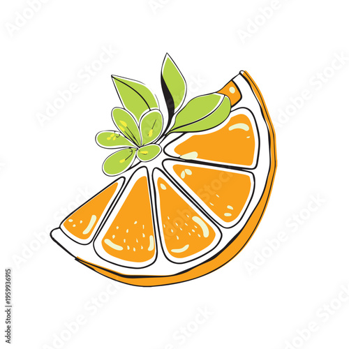 Orange pattern fruit pattern background . Vector seamless texture.