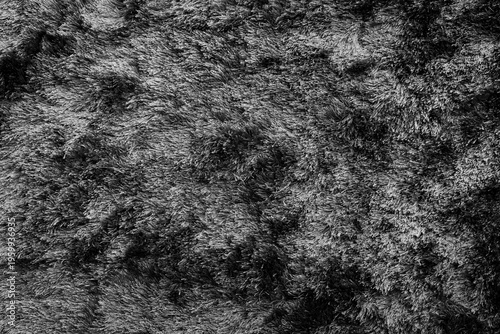 Fotografi Grey shiny shag carpet texture background