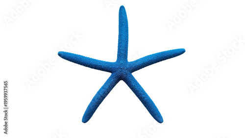 Foto Stunning deep blue starfish, a five-armed marine animal, symbolizing beauty of the ocean