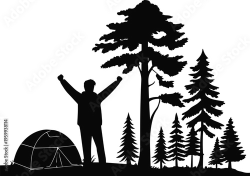 Night camp silhouette under pine canopy