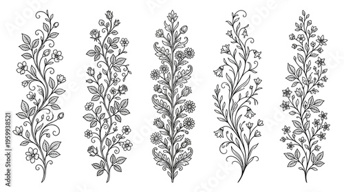 Black and white floral branch illustrations.