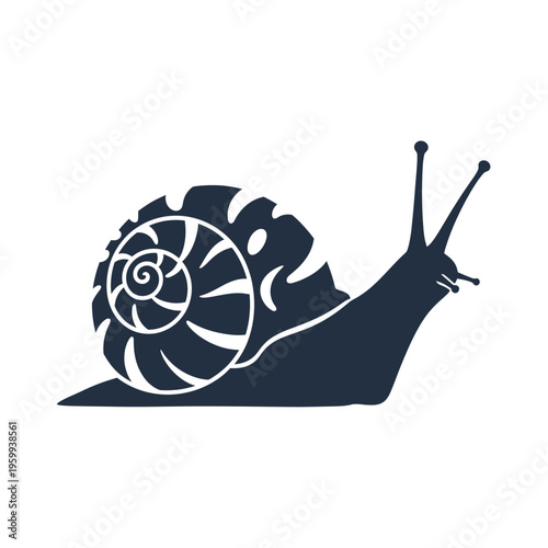 Silhouette of a Snail Shell.