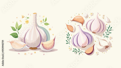 Charming Set of Artistic Garlic Illustrations with Soft Pastel Hues, Depicting Fresh Bulbs and Cloves Adorned with Delicate Botanical Elements