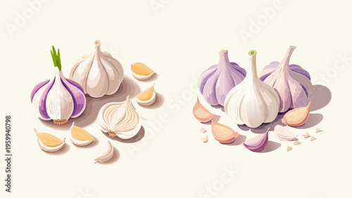 Vibrant vector illustration of aromatic garlic bulbs and scattered cloves, a flavorful culinary ingredient essential for diverse cooking and healthy cuisine