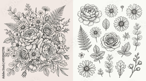 Black and white floral illustrations set.