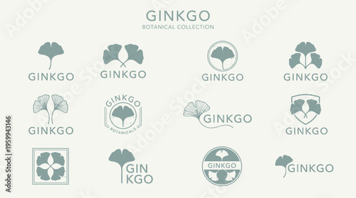 Collection of Ginkgo biloba tree logos.
