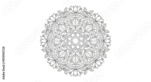 Detailed Black and White Dandelion.