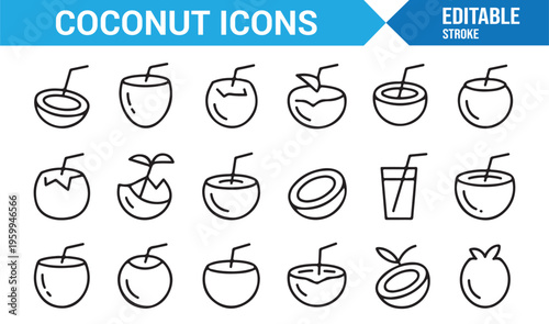 Summer tropical fruit and coconut drink icons for UI and packaging