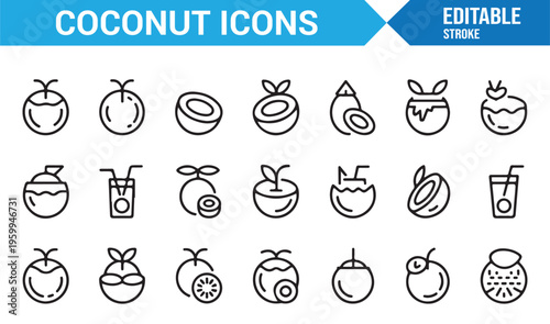 Tropical coconut symbols pack with drinks and organic food elements