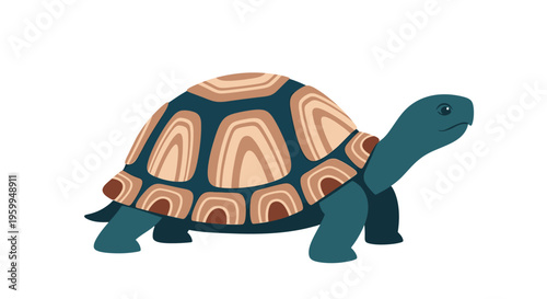Colorful turtle toy figurine walking.
