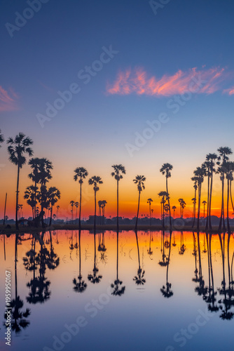 Tropical landscape with palm tree silhouettes reflecting in water during an orange and purple sunset