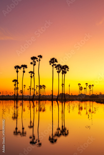 Palm trees silhouetted against a vibrant orange and purple sunset sky reflecting in calm water