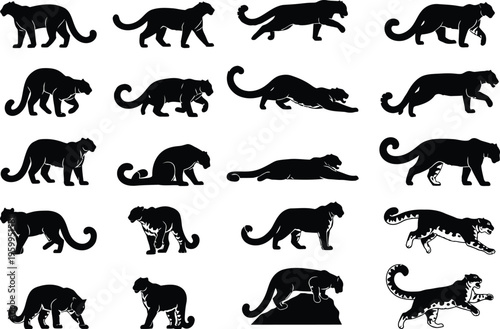 Collection of various panther tiger silhouettes in different poses and movements silhouette