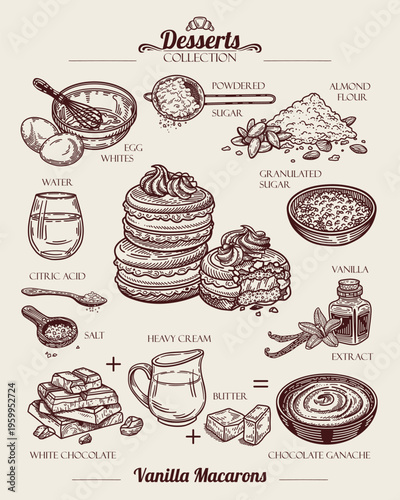 Vanilla Macarons with White Chocolate Ganache. Macaron recipe.  Egg Whites, Almond Flour and Heavy Cream. French Dessert. Line art Illustration, sketch style.