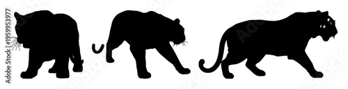 Tiger prowling silhouette set with dramatic contours and fluid lines featuring wild animal, jungle, predator with minimalist design and bold shapes