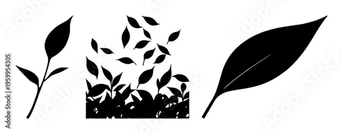 Tea leaf silhouette set with flat vector illustration in dark green background featuring leaf, green, organic with tea and botanical