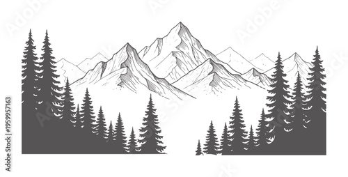 Black and white line of mountainous forest landscape with pine trees mountains