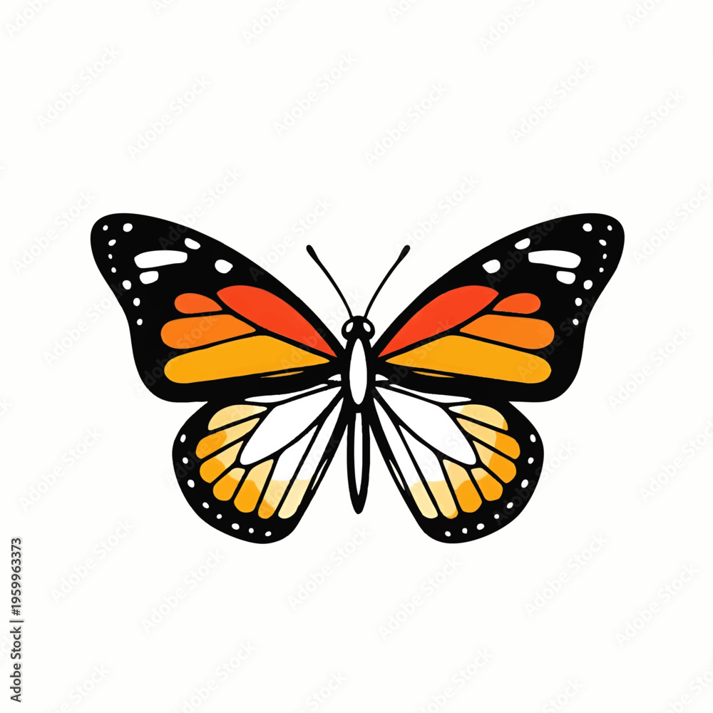 Fototapeta premium Colorful monarch butterfly illustration with open wings.