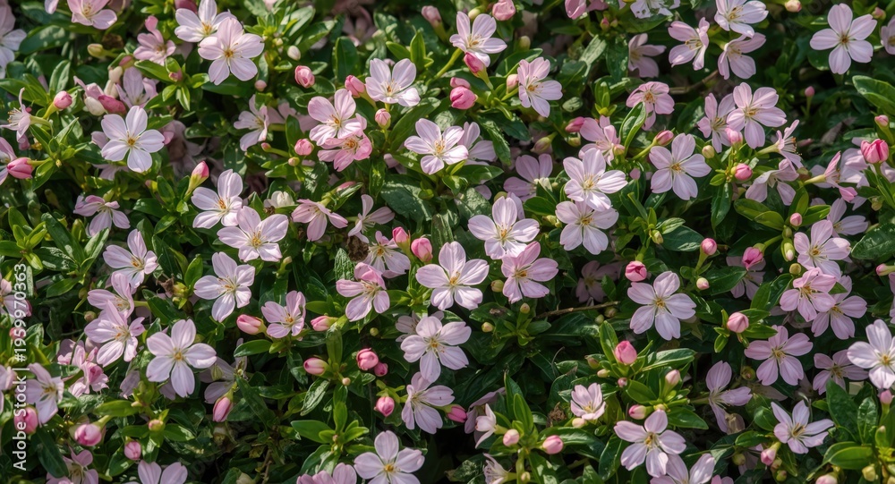Obraz premium Lush flowering plants blossoming in springtime