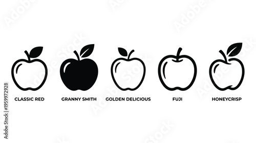 Vector illustration of various apple types