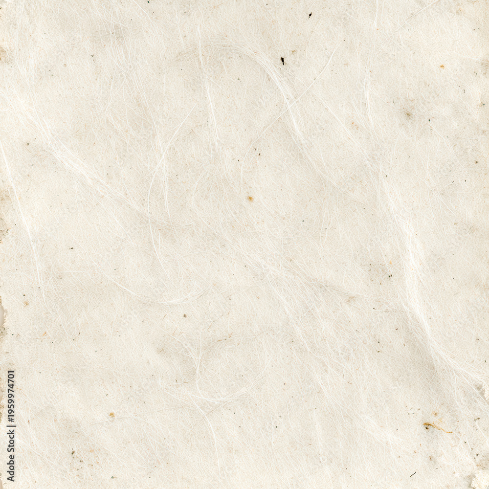Fototapeta premium Surface of plain white paper showing slight texture and specks of dirt in natural light