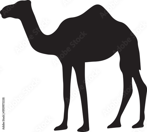 Camel Silhouette Vector, Desert Animal Icon Isolated Black Shape