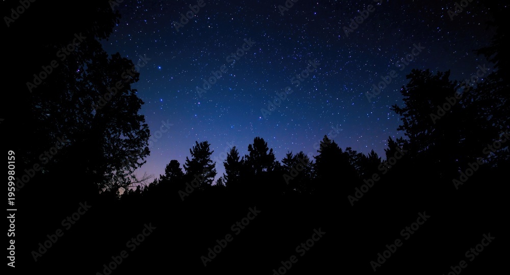 Fototapeta premium Peaceful woodland under a brilliant night sky filled with stars