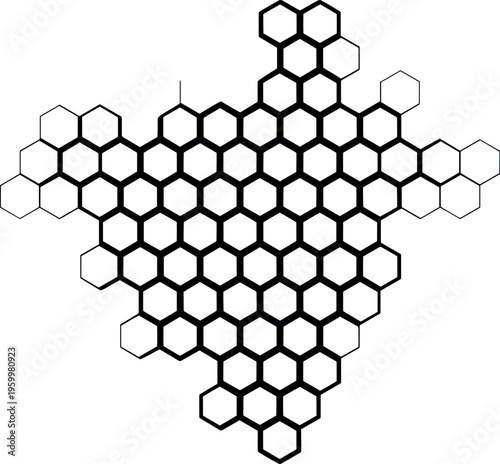Hexagonal pattern forming a symmetrical diamond shape with black and white fill