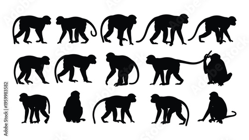 Silhouettes of monkeys in various poses