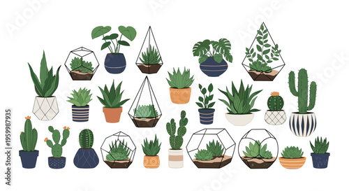 Diverse assortment of indoor houseplants in various pots and glass terrariums to illustrate a wide range of botanical decor options.