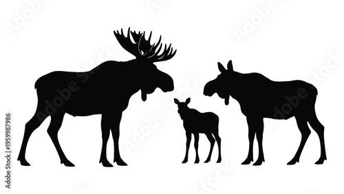 A moose and two calves standing together