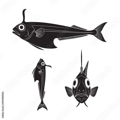 Hatchetfish Three Pose Deep Body Barrel Eyes Silhouette Vector