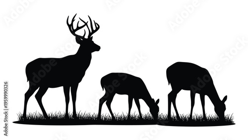 A buck and two does grazing in a field