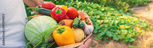 A man farmer holds vegetables in his hands. Selective focus.