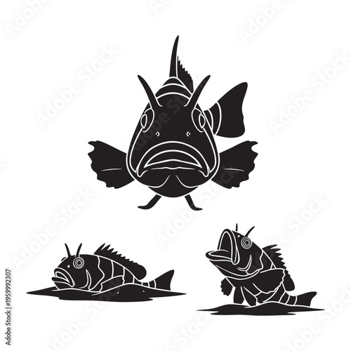 Stargazer Fish Three Pose Buried Ambush Top Silhouette Vector