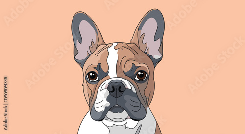Close-up portrait of a cute french bulldog with brown and white fur and large expressive eyes illustrated in a clean vector art style.