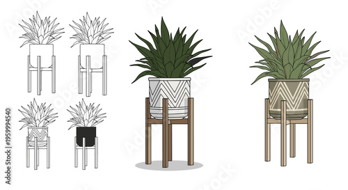 Series of aloe vera succulent plants in decorative pots shown in different artistic styles including line art, flat color, and detailed shading.