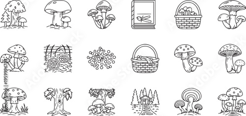 Mushroom Foraging and Forest Nature Hand Drawn Line Icon Set