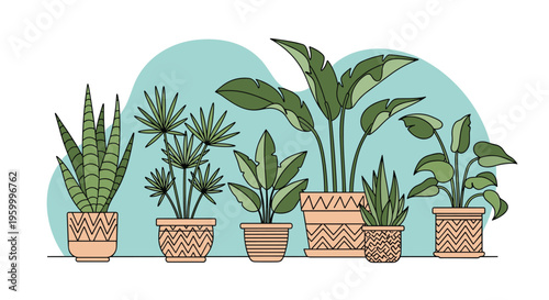 Collection of six diverse indoor houseplants including snake plants and palms growing in decorative clay pots with geometric patterns.