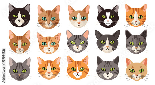 Diverse collection of fifteen cat faces representing various breeds and coat patterns from tabby to calico in a flat vector design style.
