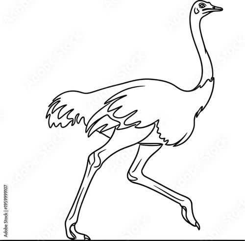 Continuous line drawing of an ostrich running in profile view