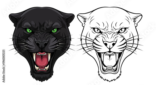 Black Panther Head Illustration with Open Mouth.