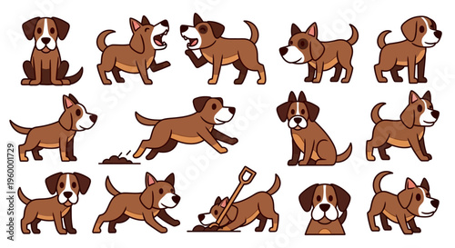 Brown and White Dogs in Various Poses.