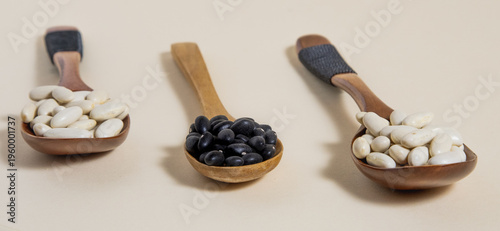 Frijol negro y alubia blanca sobre cucharas de madera sobre fondo blanco