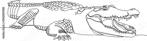 Large crocodile with mouth open and sharp teeth