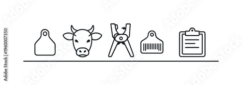 Livestock ear tagging and identification tracking for accurate herd records and traceability in agricultural management systems, ear tag, cow head, tagging tool, barcode label, and