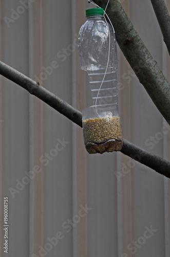 Homemade bird feeders from plastic bottles hung on tree branches, Sofia, Bulgaria